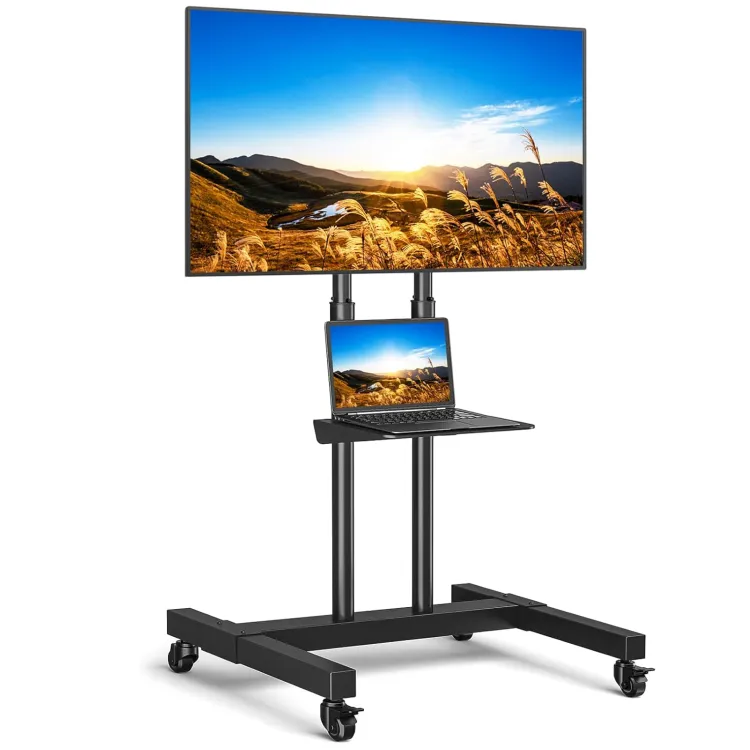 43″ Smart TV on Rolling Stand